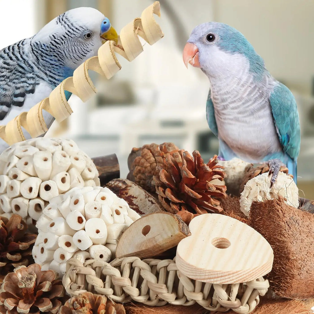 Bird Toys Parrot Natural Bird Foraging Box Foot Toys for Parakeets,Cockatiels,Conures,Love Birds,and Other Small to Medium Birds
