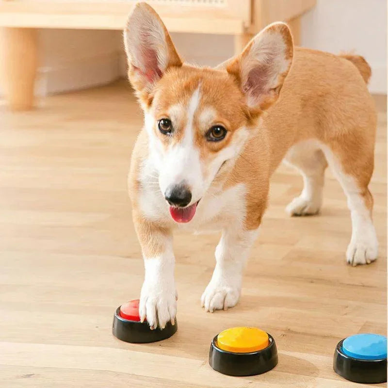 Pet Sound Box Recordable Talking Button Cat Voice Recorder Communication Supplies Training Squeeze Dog Toys Puppy Accessories