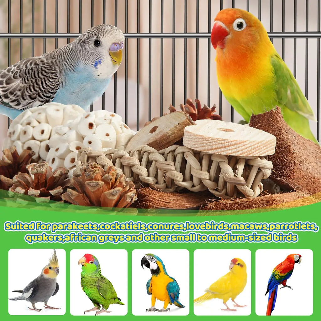 Bird Toys Parrot Natural Bird Foraging Box Foot Toys for Parakeets,Cockatiels,Conures,Love Birds,and Other Small to Medium Birds