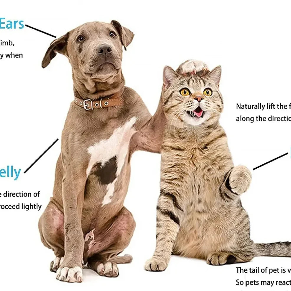 Dog Hair Remover Brush Cat Dog Hair Grooming And Care Comb For Long Hair Dog Pet Removes Hairs Cleaning Bath Brush Dog Supplies