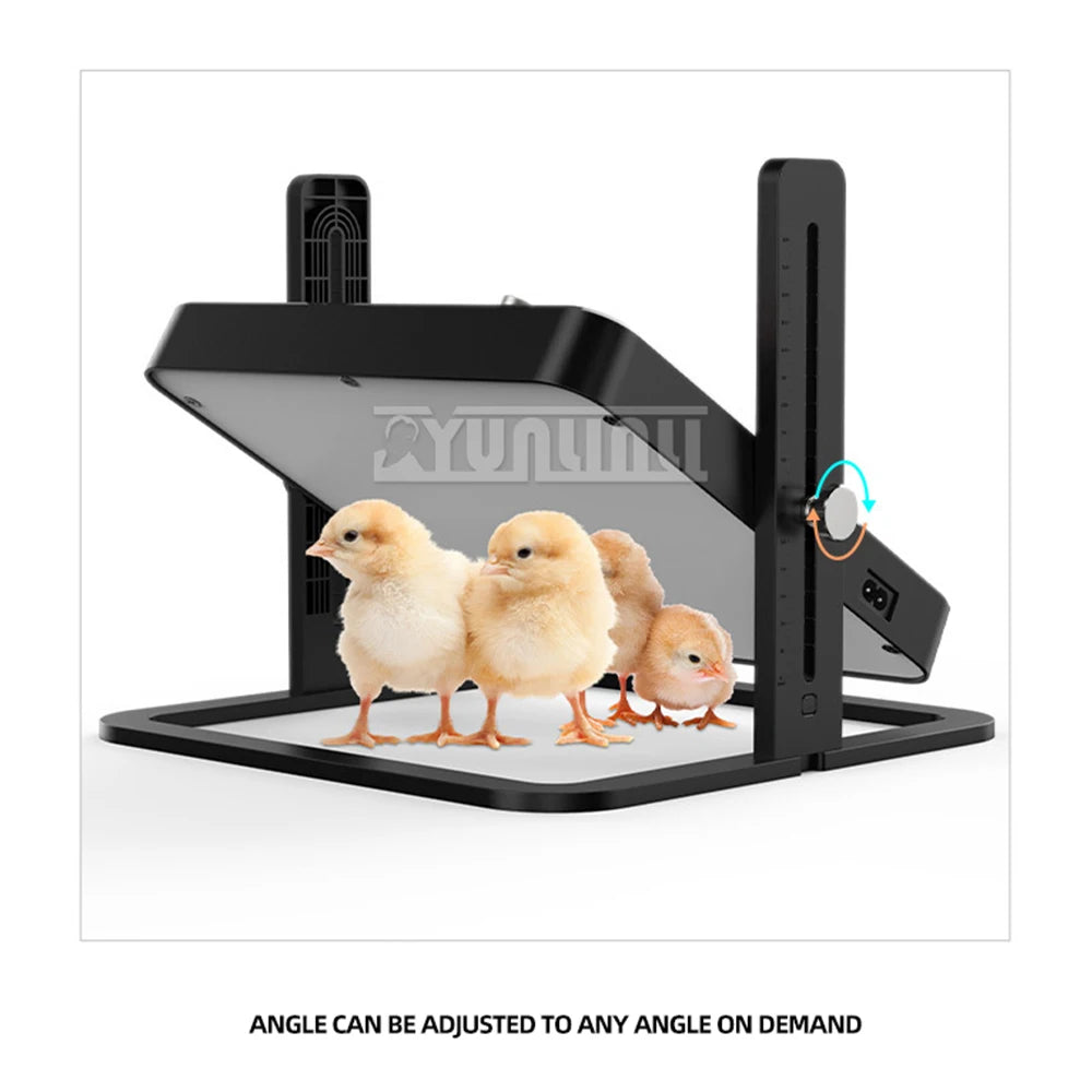 Pet Heating Plate Adjustable Temperature pet heater Design Heater For Chickens Dogs Cats Birds 2025 NEW