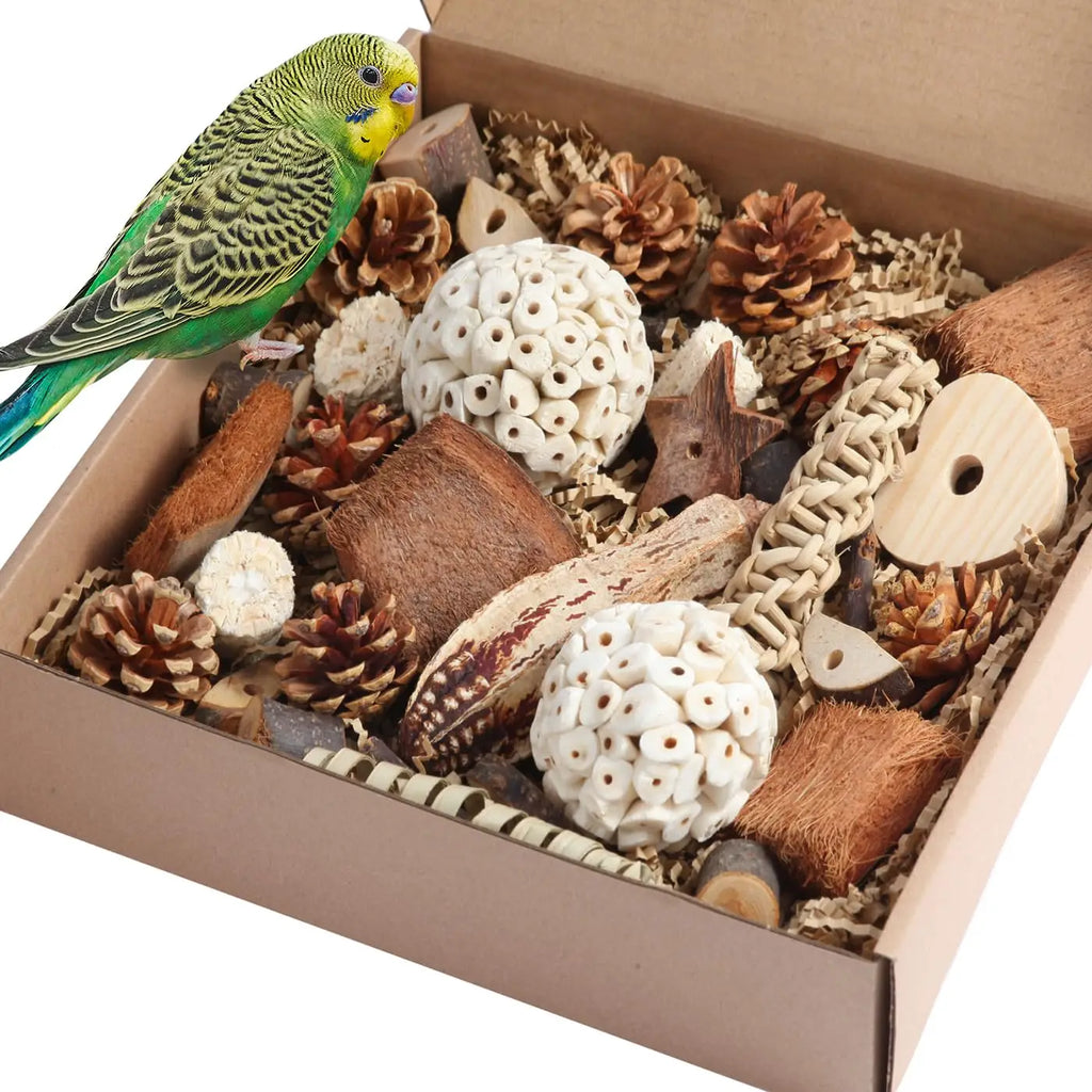 Bird Toys Parrot Natural Bird Foraging Box Foot Toys for Parakeets,Cockatiels,Conures,Love Birds,and Other Small to Medium Birds