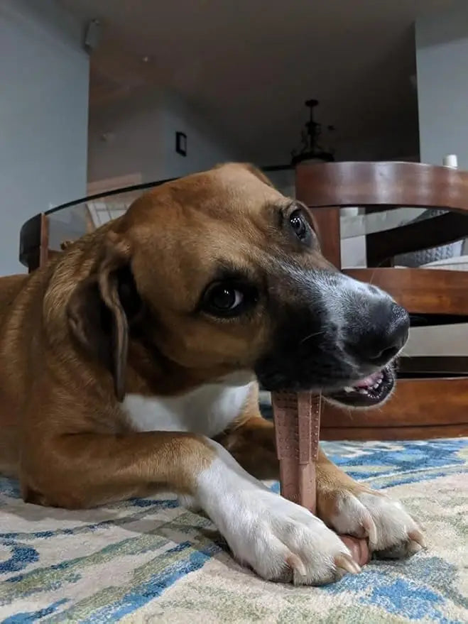 Dog Chew Toys Durable Oral Care Dog Chews Puppy Chew Toys Keep Teeth Clean for Mild Chewing and Teething Teeth Cleaning Toy