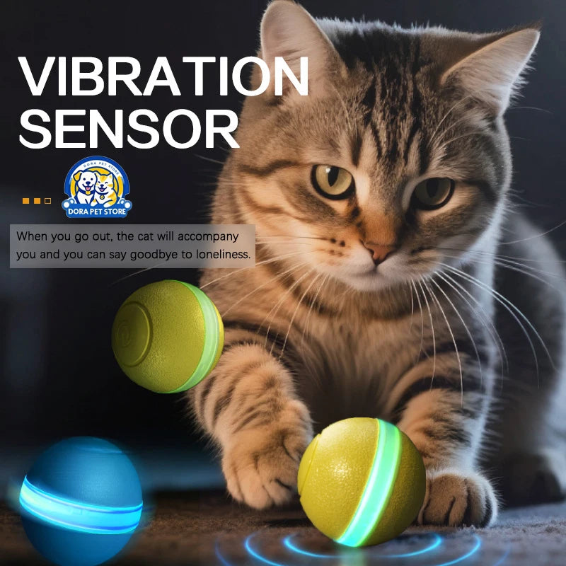 New pet self entertainment toy car, cat teasing tool, electric flying fish, intelligent running car, cat toy